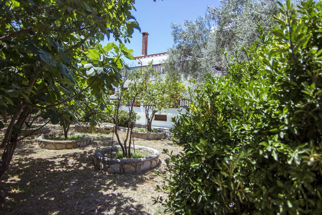 Naftilos Skiathos Dış mekan fotoğraf